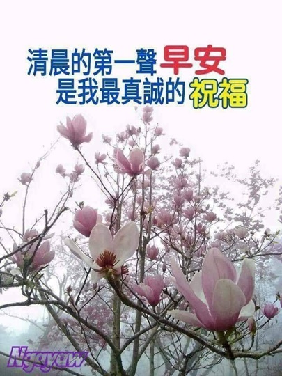 按我可連結至更清楚的圖片